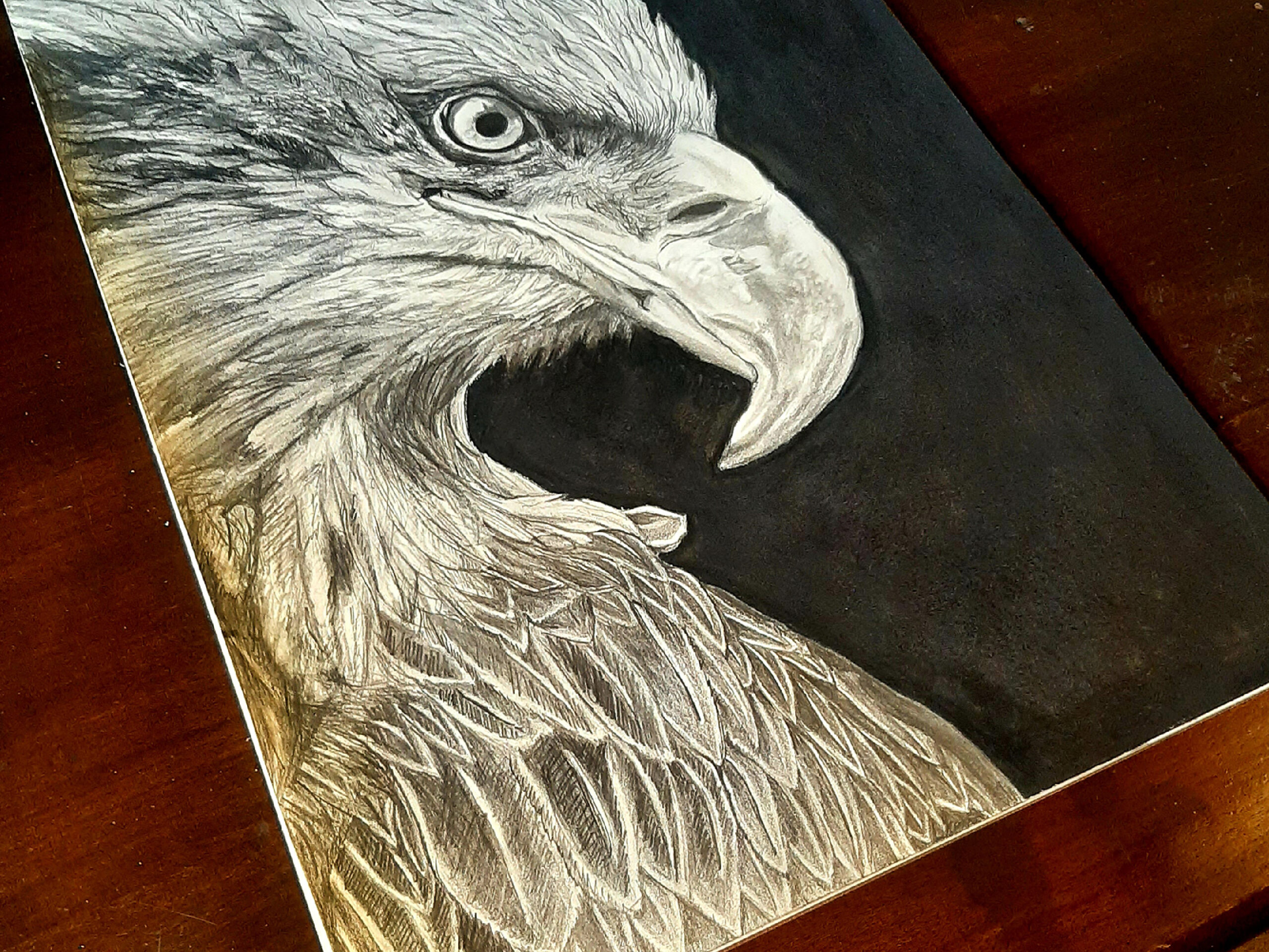 Eagle Drawing