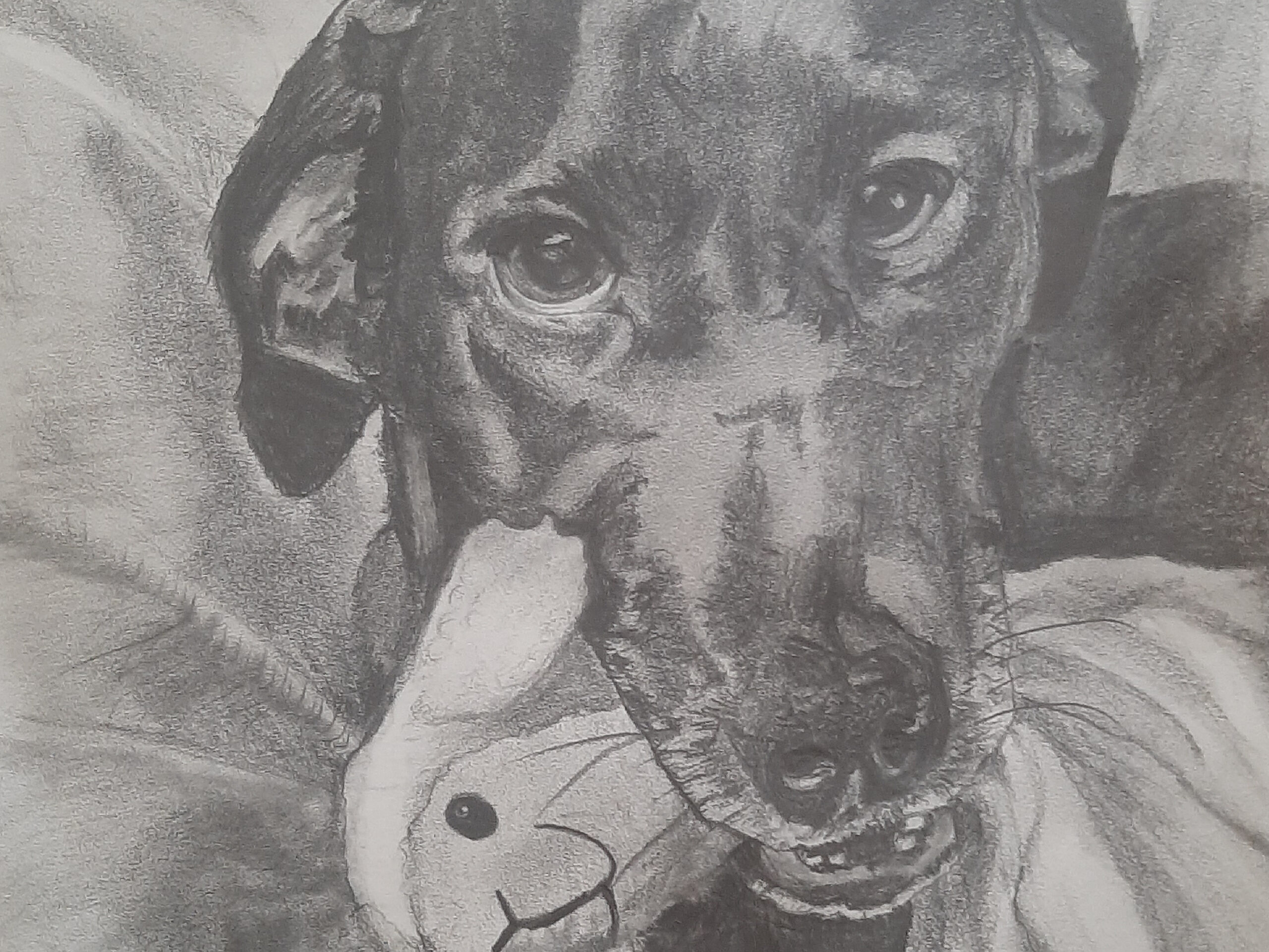 Dog 1 Drawing